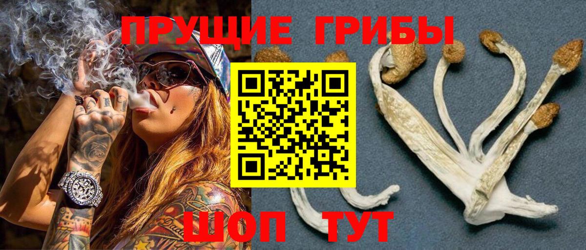 Энгельс  купить  цена  Вход с VPN  Галлюциногенные грибы MAGIC MUSHROOMS 