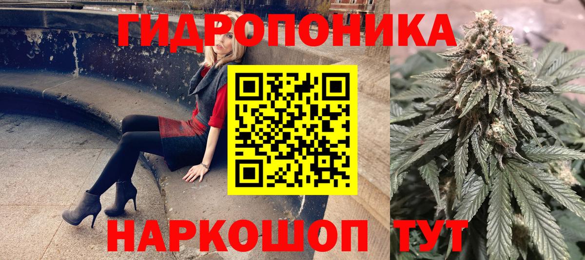 Бошки Шишки VHQ  Вход с VPN  Конопля семена  Конопля Amnesia  Энгельс 